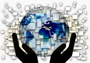 乐鱼体育平台官网-全国电子竞技公开赛上海收官，全国电子竞技大赛官网2020