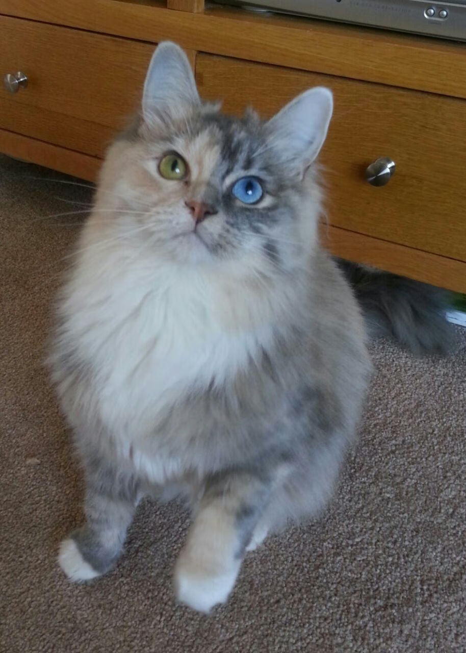 乐鱼(中国)体育官方网站-德甲俱乐部会员制优惠提升球迷现场参与度,德甲联赛门票多少钱