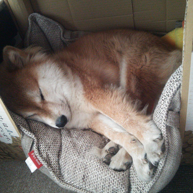 乐鱼官网-意甲青训心理训练促进认知负荷管理与技术动作学习，意甲青训规则