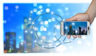 Leyu Sports (乐鱼体育)-智能体育装备创新研发及推广应用研究，智能体育产业发展前景