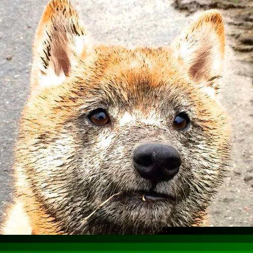 乐鱼电竞在线平台-乒乓球赛事赛制更新,带来更刺激的比赛体验,乒乓球赛事赛制更新,带来更刺激的比赛体验是什么