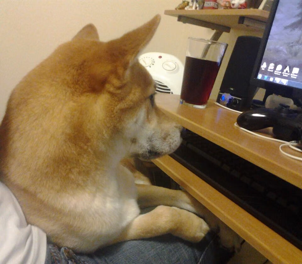 乐鱼（LEYU）体育-冬季运动入门课程在中小学全面推广，冬季运动知识科普