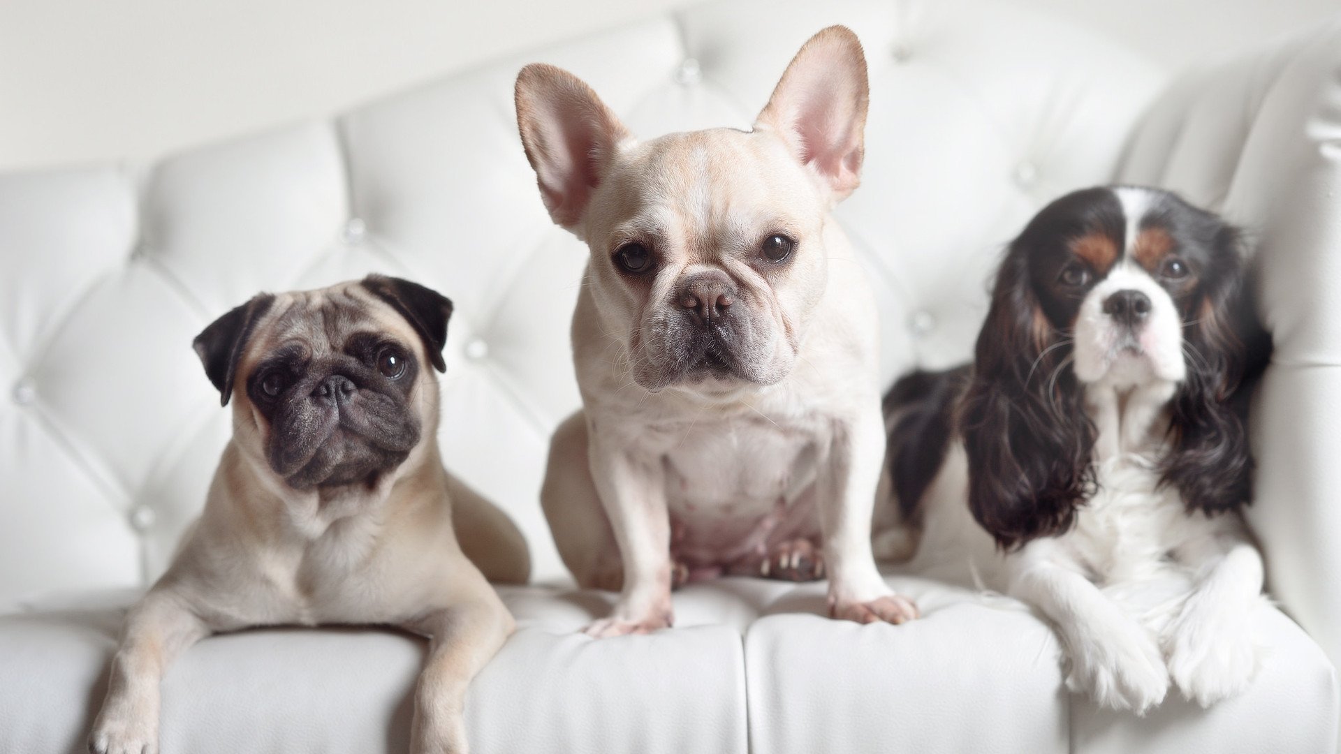 leyu乐鱼-中国篮球青少年选手心理挫折应对与恢复训练，篮球运动员心理训练